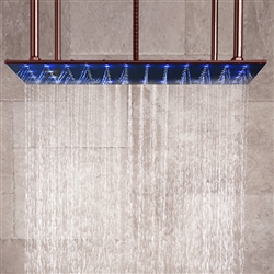 Rain Shower Head With Wand